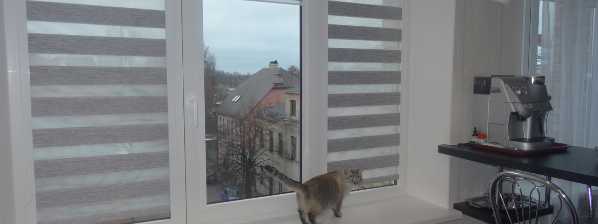 Kāpēc diena-nakts žalūzijas ir tik populāras un kādas ir to priekšrocības