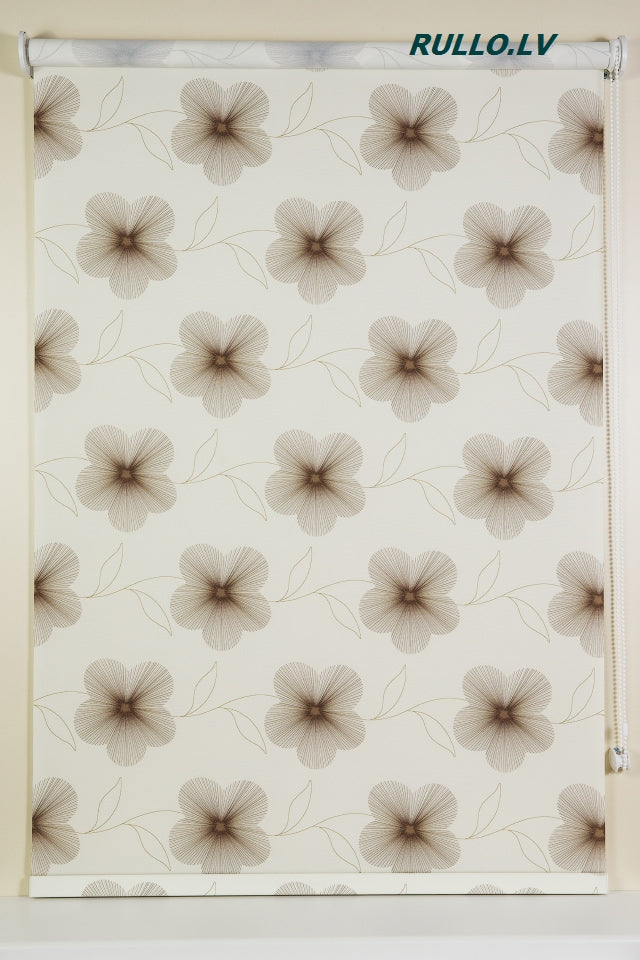 Rullo žalūzijas EVE Brown