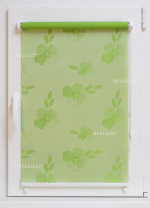Mini rullo ORHID Green Коds OR2766MV Aptumšojums 63%