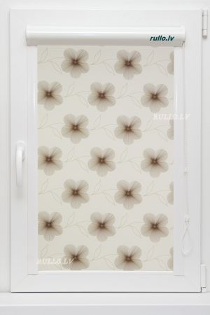 Minikasetes  EVE Brown Коds EVB-02V Aptumšojums 57%