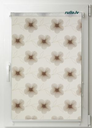 Mini rullo EVE Brown Коds EVB-02MV Aptumšojums 57%      59.80 EUR/m 