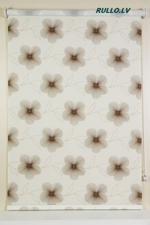 Rullo žalūzijas EVE Brown Коds EVB-02R Aptumšojums 57%